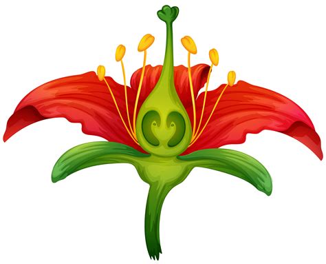 flower parts clipart